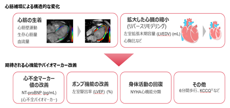 0101010_027.png