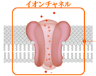 0101010_004.png