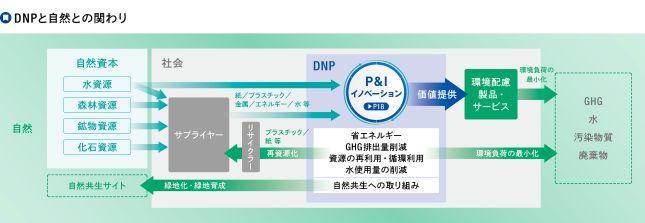 DNPグループは、森林資源、水資源、鉱物資源など自然資本を事業活動で利用するとともに、温室効果ガス排出や廃棄物発生などを通じて自然環境へ影響を与えています。一方で、環境配慮製品・サービスの提供や資源循環の推進により、自然環境の保全と持続可能な社会の実現に貢献しています。
